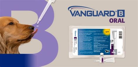 Vanguard® B Oral .